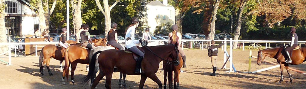 Archives des anniversaire cheval - Blog Equestra