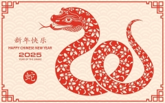 zodiac-sign-year-of-the-snake-vector.jpg